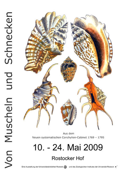 Datei:PlakatMuschelnA3.jpg